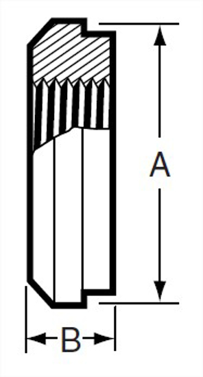 Picture of TAPPED THERMOMETER CAP  T316L