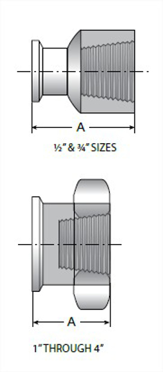 TEG22 - Clamp X Female NPT Adapter MaxPure 316L