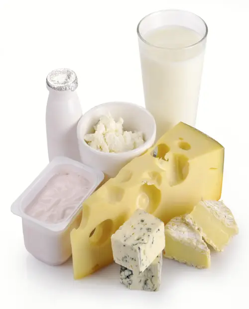 Processed dairy products